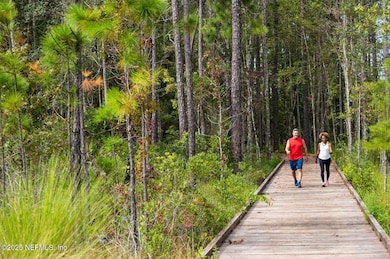 Trib walking path