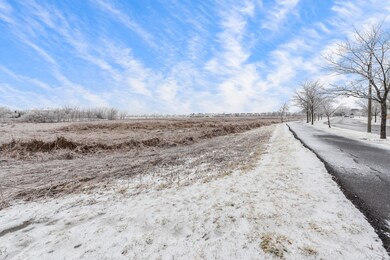 View from front porch to conservation area & walki