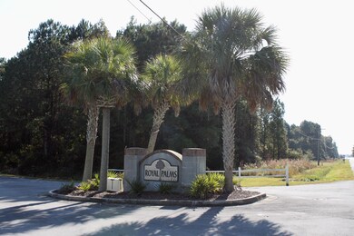 105 Calcos Ct, Stump Sound, NC 28445 - photo 6