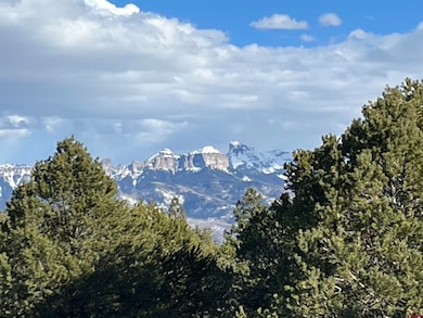 TBD Cottontail Ln, Ridgway, CO 81432 - photo 2