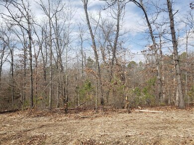 0 Buckden Ln unit 1210435, Bella Vista, AR 72715 - photo 6