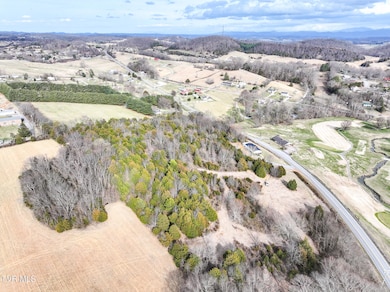 9 Ac Chuckey Hwy, Chuckey, TN 37641 - photo 6