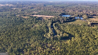 0 Buckeye Rd unit 10650376, East Dublin, GA 31027 - photo 5