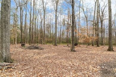 0 Proffits Rd, Louisa, VA 23093 - photo 3