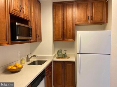 The Riviera unit 820, Bethesda, MD 20815 - photo 2