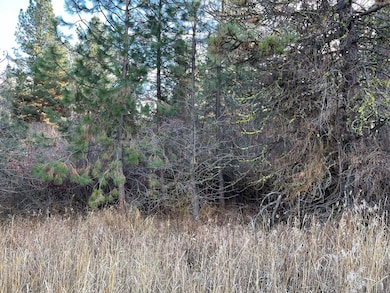 L129 Par Dr unit 129, Cascade, ID 83611 - photo 5