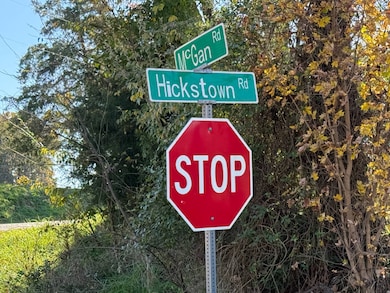 440 Hickstown Rd, Herod, IL 62947 - photo 3