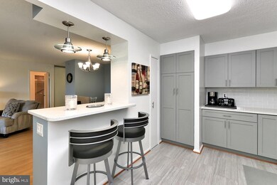 Montebello unit 1001, Alexandria, VA 22303 - photo 5