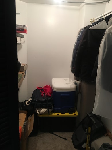 This is the walk in closet on the lower level.