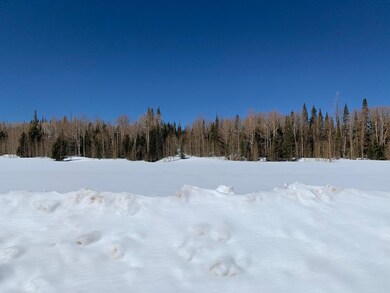 Park U Pine lot 2