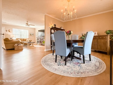 1109 Night Cap Ln, Knoxville, TN 37919 - photo 5