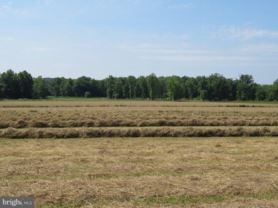 0 Mill Rd, Washingtonvle, PA 17884 - photo 3