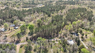 157 King Collier Rd, Brandon, MS 39042 - photo 6