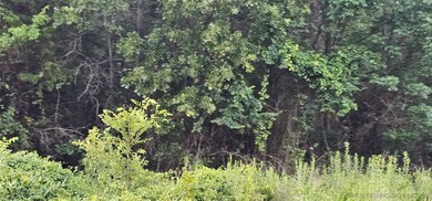 0 E Moonshine 1000 Rd unit 2526568, Gore, OK 74435 - photo 7