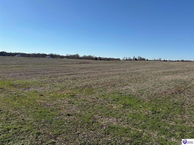 250 Owl Creek Dr, Vine Grove, KY 40175 - photo 5