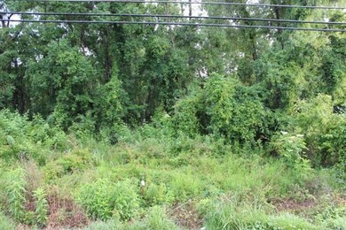 0 Hwy 190 unit 2505859, Albany, LA 70711 - photo 7