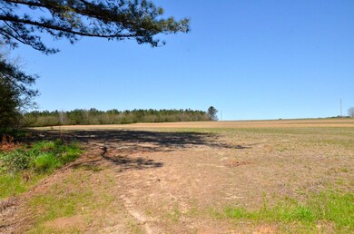 Hickory Grove