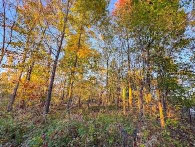 8840 Houston Rd, Eaton Rapids, MI 48827 - photo 5