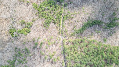 TBD Cr 277, Oxford, MS 38655 - photo 4