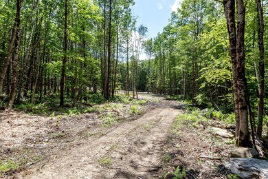 247 Southwest Rd, Canterbury, NH 03224 - photo 3