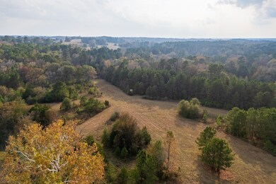 S Fm 228 unit TX, Grapeland, TX 75844 - photo 5