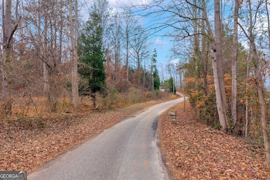 510 Gumlog Grove Rd, Lavonia, GA 30553 - photo 2