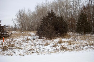 16XXX 4th Ave E, Lynden Township, MN 55382 - photo 5