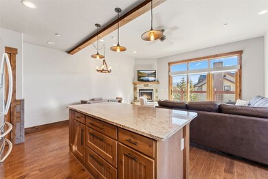 481 W Main St unit 201, Frisco, CO 80443 - photo 7