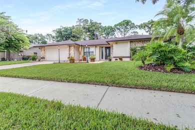 3404 Brian Rd S, Palm Harbor, FL 34685 - photo 5