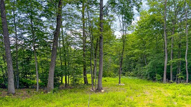 55 Del Chadbourne Rd, Bridgton, ME 04009 - photo 7