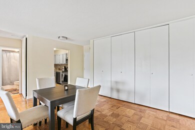 Tiber Island unit W-300, Washington, DC 20024 - photo 5