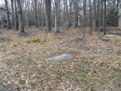 93 Wallenpaupack Dr, Lake Ariel, PA 18436 - photo 5