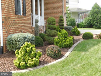 104 Cabernet Ct, Stephens City, VA 22655 - photo 3