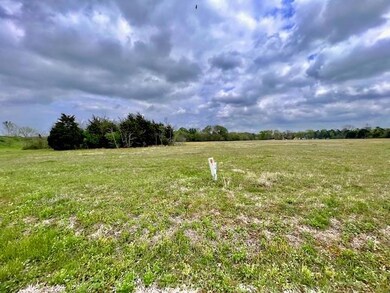 Lot 59 Grandview Dr, Corsicana, TX 75109 - photo 4