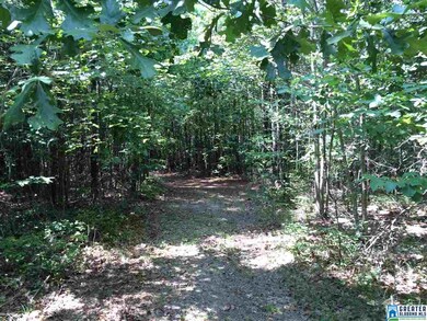 0 Spunky Hollow Rd unit 18.7 acres +/-, Remlap, AL 35133 - photo 3