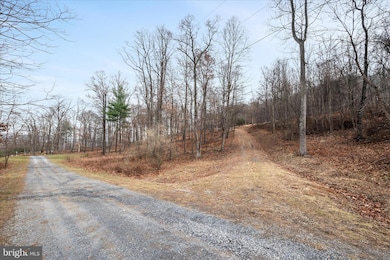 LOT 20 Buffalo Gap Terrace, Capon Bridge, WV 26711 - photo 5