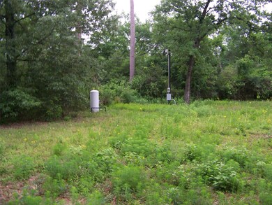 25163 Lakeside Dr, Hockley, TX 77447 - photo 6