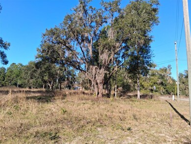 0 Long Cir unit MFRW7880916, Webster, FL 33597 - photo 2