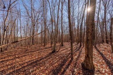 0 Brown Rd, King, NC 27021 - photo 6