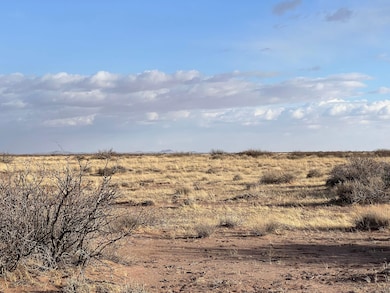 Bahia Rd, Deming, NM 88030 - photo 2