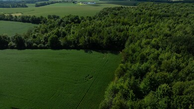 Lot 5 280th St, Glenwood City, WI 54013 - photo 6