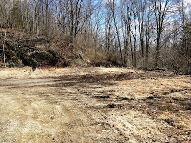 1313 State Route 57, Mansfield Twp., NJ 08865 - photo 7