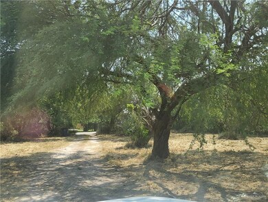 2901 Stites Rd, Donna, TX 78537 - photo 5