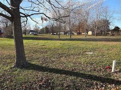 Tbd Olive St, Diggins, MO 65746 - photo 2