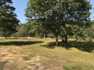 W7484 32nd St, New Lisbon, WI 53950 - photo 6