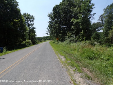 0 S Lacey Lake Rd unit 289887, Bellevue, MI 49021 - photo 4