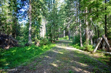 Gravel driveway