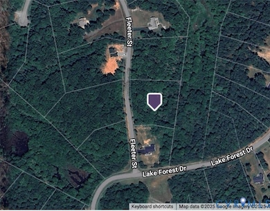 000 Fleeter St, Mineral, VA 23117 - photo 4