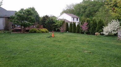 Jay St back yard 1
