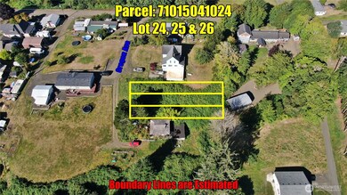 0 x Oregon Ave, South Bend, WA 98586 - photo 5